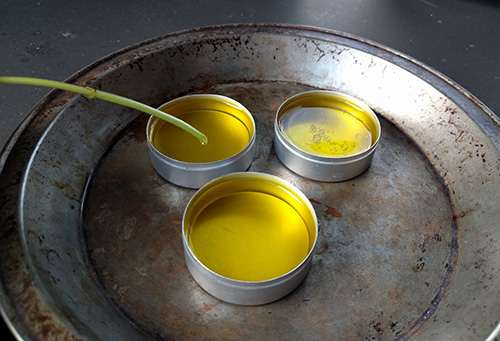 How to Make a Pain Healing Mint Salve - Step 8