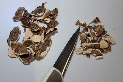 Turkey Tail Mushroom Recipe - 1