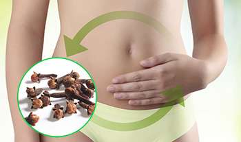 What Happens if You Take 2 Cloves Every Day - Digestion