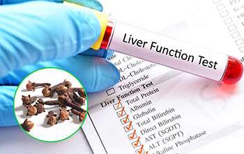 What Happens if You Take 2 Cloves Every Day - Liver Function