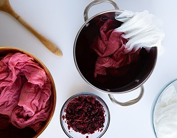 How to Naturally Dye Your Everyday Items - Hibiscus