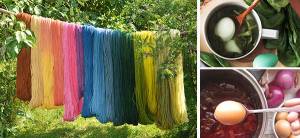 How to Naturally Dye Your Everyday Items - cover