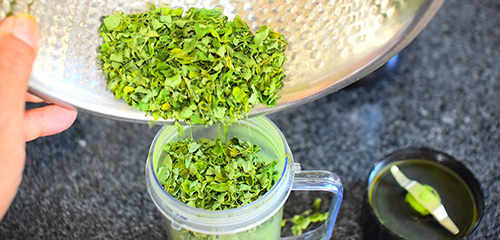 How to make moringa powder 5