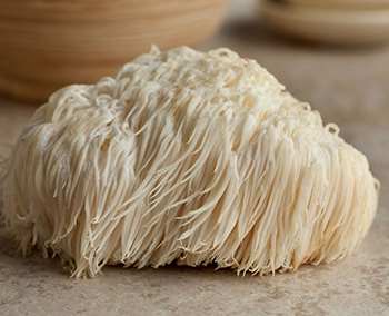 The Only 6 Medicinal Mushrooms You Need to Know - Lion's Mane