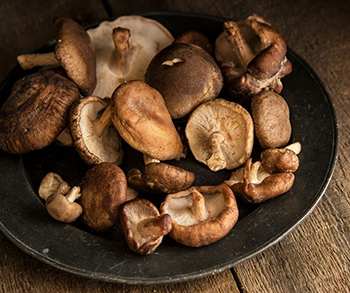 The Only 6 Medicinal Mushrooms You Need to Know - Shiitake