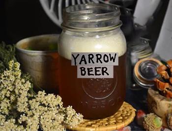 50 Ways to Use Yarrow - Beer