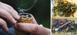 Healing Herbs You Can Smoke - Cover
