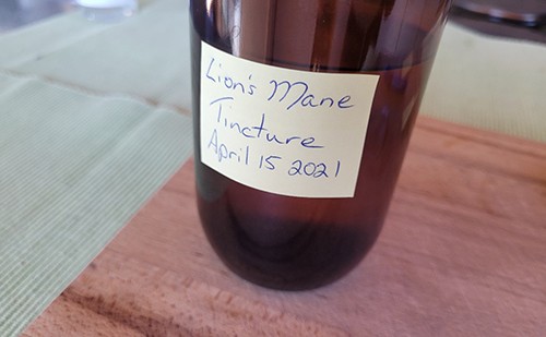 Homemade Lion’s Mane Tincture for Brain Fog