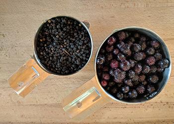 How To Infuse Honey with Elderberry - dry vs fresh