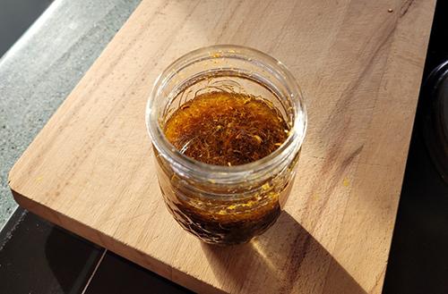 Infusing Oil with Calendula Next Day- Step 1