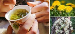 10 Herbs That Kill Viruses and Clear Lungs - Cover