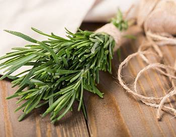 10 Herbs That Kill Viruses and Clear Lungs - Rosemary