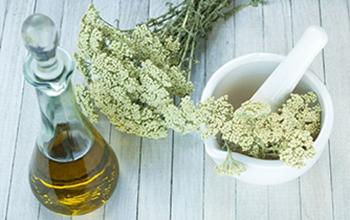 50 Ways to Use Yarrow - 34