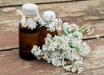 50 Ways to Use Yarrow - 46