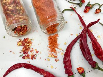 Cayenne Pepper - Drying Chillies