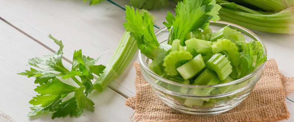 what Happens if You Drink Celery Juice For 30 Days - Introduction