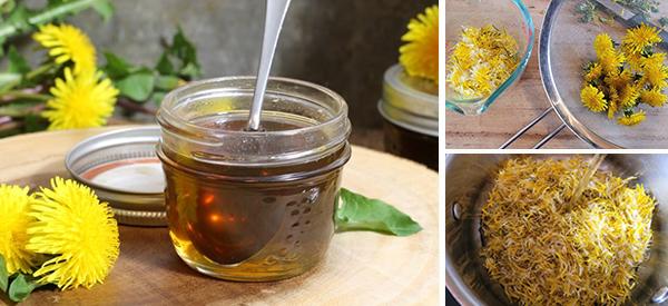 Dandelion Syrup For Cholesterol and Blood Sugar Control