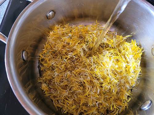 Dandelion Syrup For Cholesterol and Blood Sugar Control - Step 4