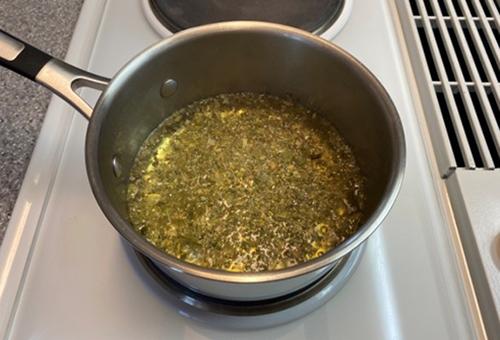 Catnip - Step 1