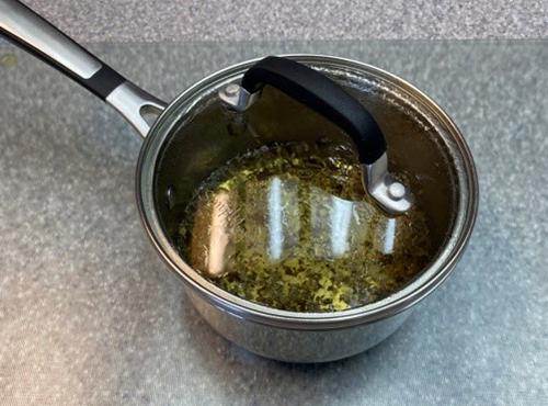 Catnip - Step 2