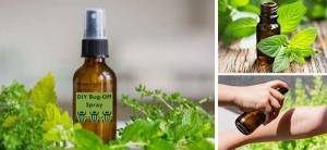 DIY Bug-Off Spray - Cover