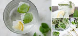 How to Make Herbal Ice Cubes - Cover