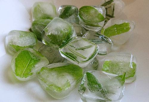 How to Make Herbal Ice Cubes Final