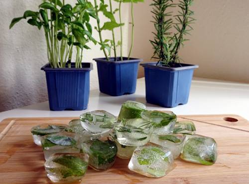 How to Make Herbal Ice Cubes Health Benefits 2