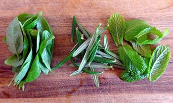 How to Make Herbal Ice Cubes - Ingredients