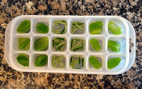 How to Make Herbal Ice Cubes - Step 4