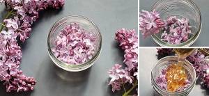 Lilac Flower Infused Honey - Cover