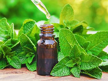 10 Natural Laxative Herbs - Peppermint