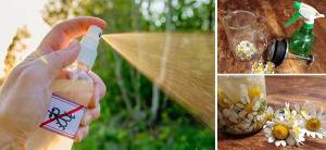 DIY Natural Tick and Flea Repellent For Pets - Cover