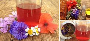 How To Make a Tincture Using Apple Cider Vinegar Instead of Alcohol - Cover