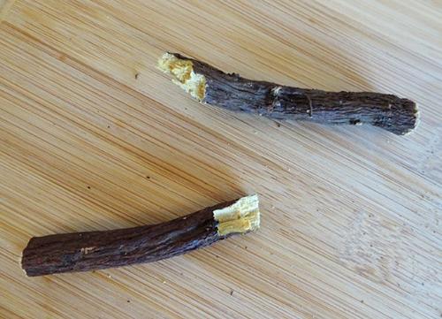The Plant That Is Sweeter Than Sugar And Helps People With Diabetes - Step 2