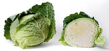 Cabbage Juice - Benefits