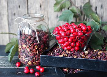 Hawthorn - Natural Remedies