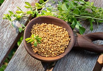 Kill Hunger With This Herb - Fenugreek Safe to Consume