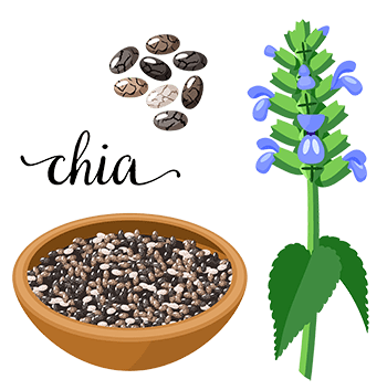What Happens If you Eat Chia Seeds Every Day Benefits