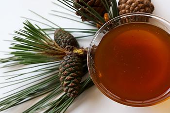 White Pine - Natural Remedies