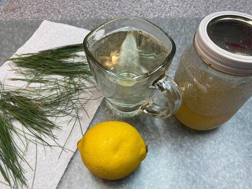 White Pine Tea - How to Drink