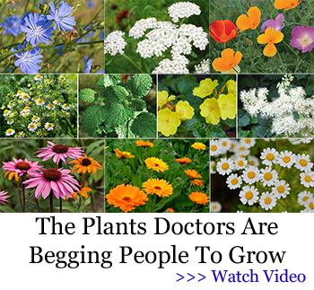 Banner MK - Doctors Are Begging