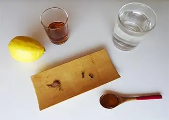 Easy DIY Hot Toddy Remedy - Ingredients 2