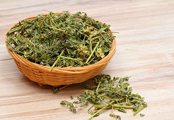 Foods That Kill Your Libido and Herbs That Increase It - Dried tribulus