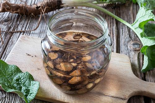 How to Make Root Burdock Tincture - Step 2