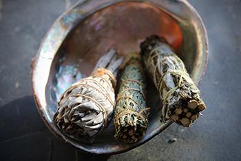The Legal Narcotic You Can Grow In Your Own Backyard - mugwort Hallucinogenic