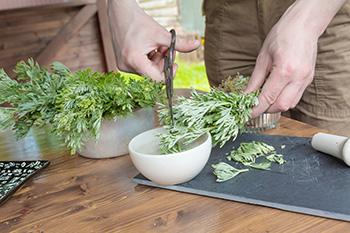 The Legal Narcotic You Can Grow In Your Own Backyard - mugwort benefits 2