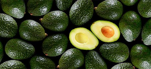 50 Uses of Avocado - The Lost Herbs