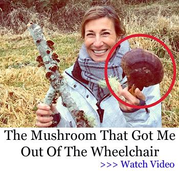 Banner FGW -The Mushroom That Got Me Out Of The Wheelchair