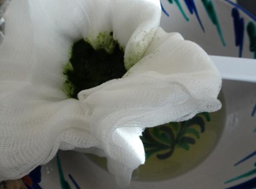 DIY chlorophyll extract - Step 10